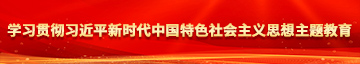 龟头操少妇的花芯学习贯彻习近平新时代中国特色社会主义思想主题教育